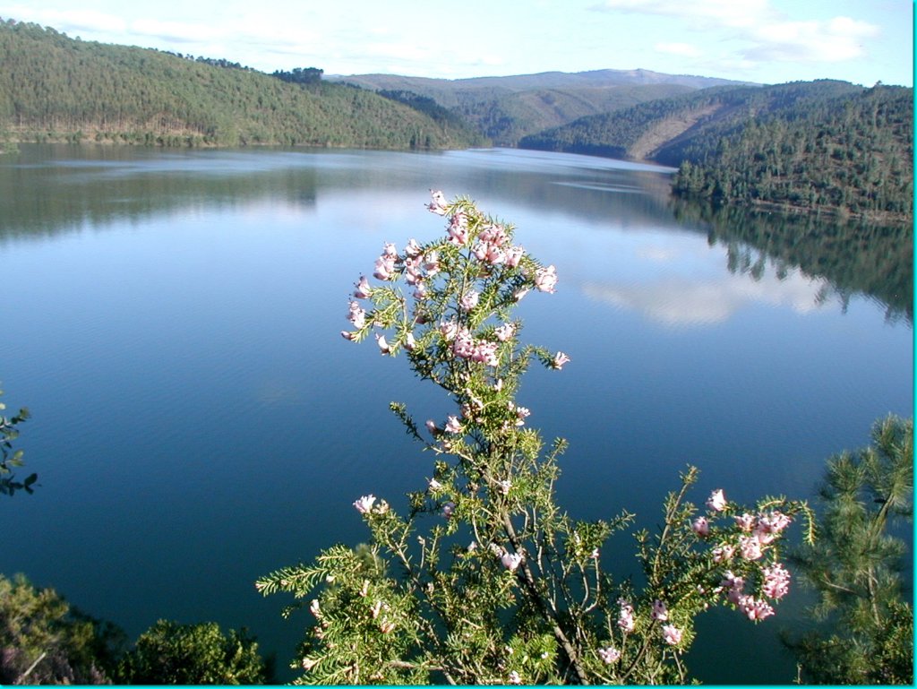 I Duatlo de Pampilhosa da Serra Federação de Triatlo de Portugal